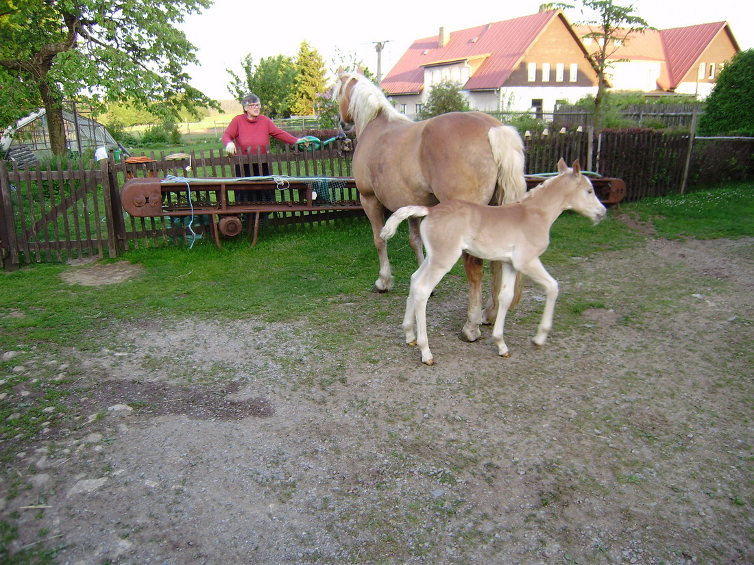 P3090033.jpg